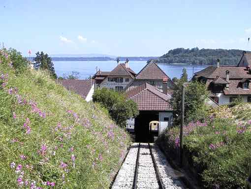 Tessenberg