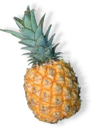 Ananas