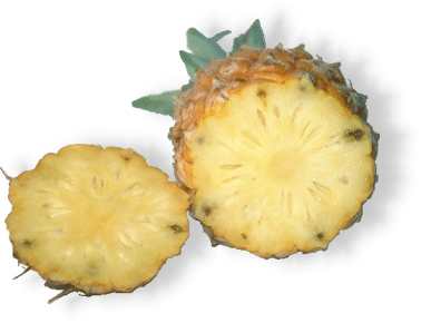 Ananas