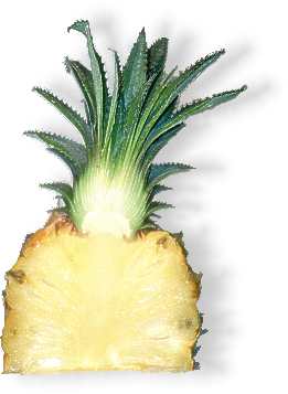 Ananas