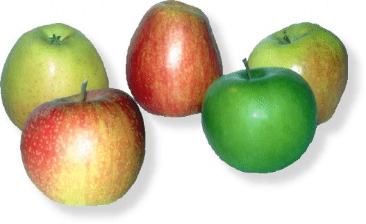 Aepfel