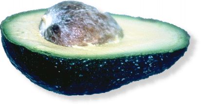 Avocados