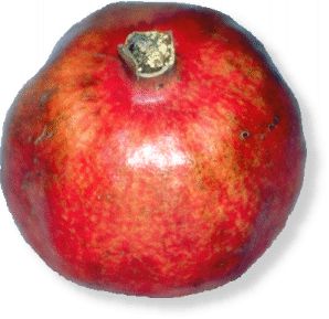 Granatapfel