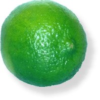 Limette