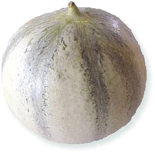 Melone