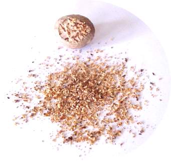 Muskatnuss