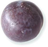 Pflaume