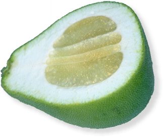 Pomelo