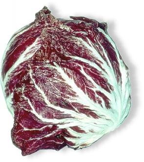 Radicchio