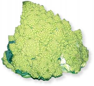 Romanesco