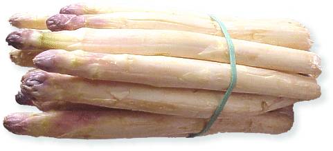 Spargel