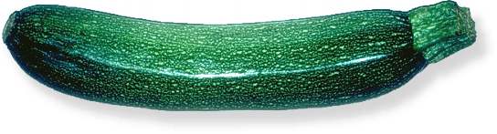 Zucchini